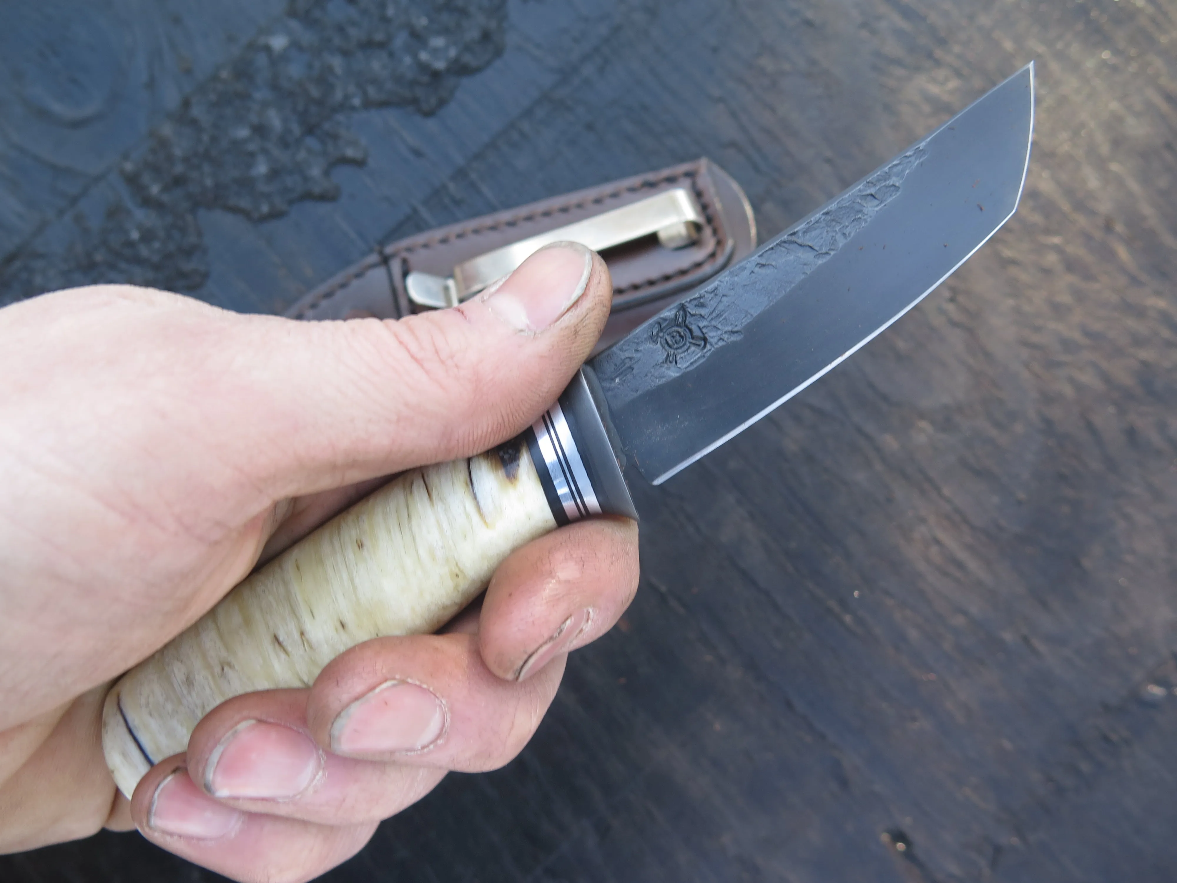 Musk Ox Boss Blued Tanto Pocket