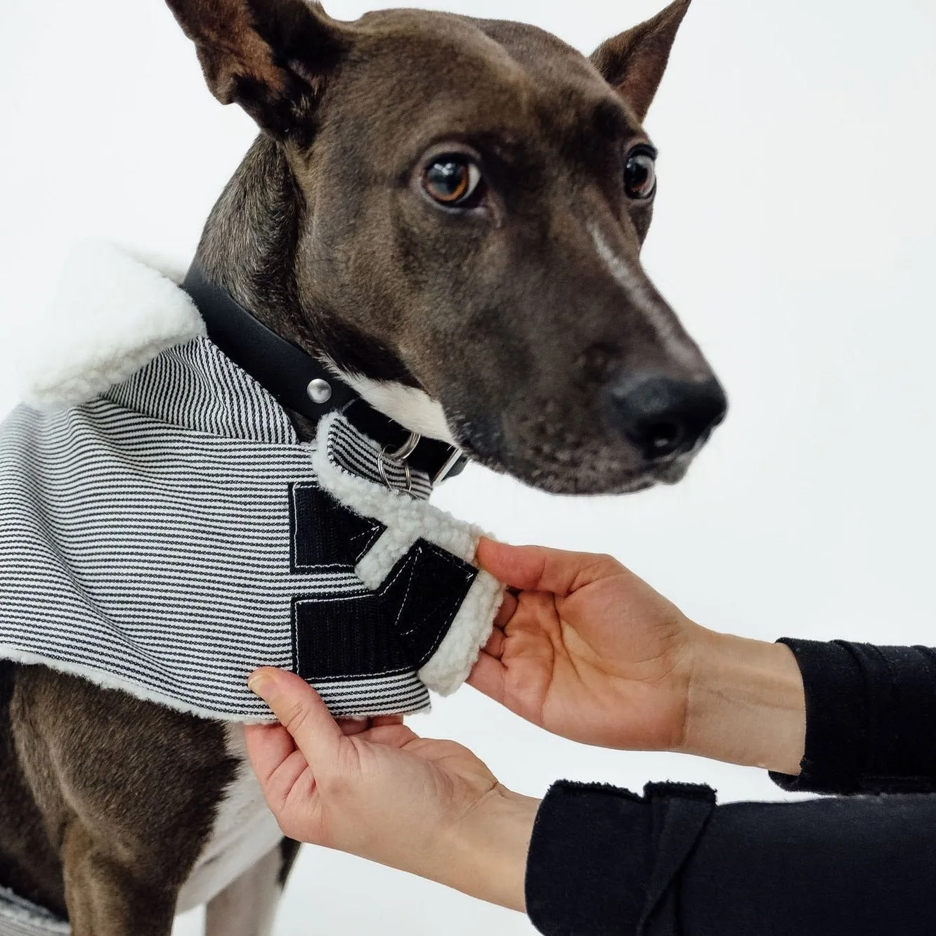 The Working Dog Co - Fleece-lined Jacket